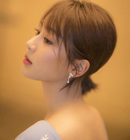 华鼎奖杨紫李现,华鼎奖杨紫