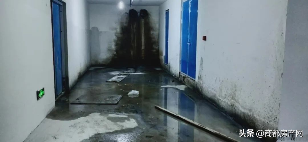 一场由猪队友曝光的建业恶性循环