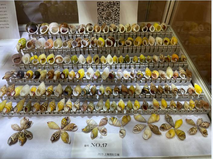 2021年上海国际贝展视频,2022年上海国际贝展