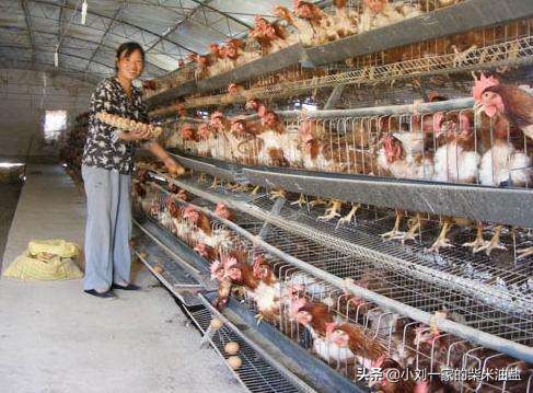 农村即将消失的十大行业,未来五年农村最赚钱十大行业