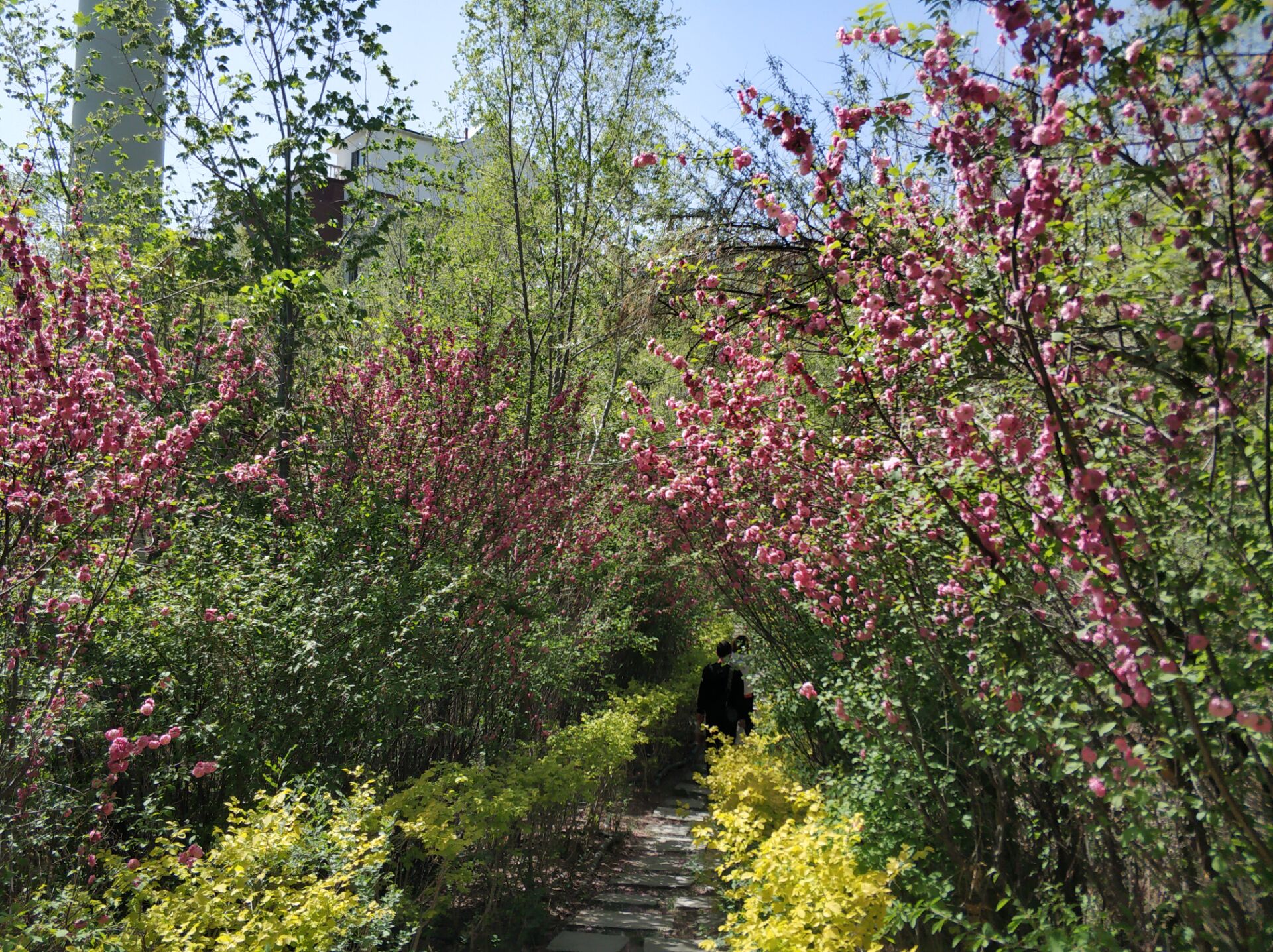 乌鲁木齐居然有这么漂亮的地方,乌鲁木齐周边森林公园在哪里