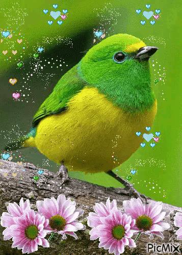 这是我见过最美的风景吗,这是我见过的最美的风景英语