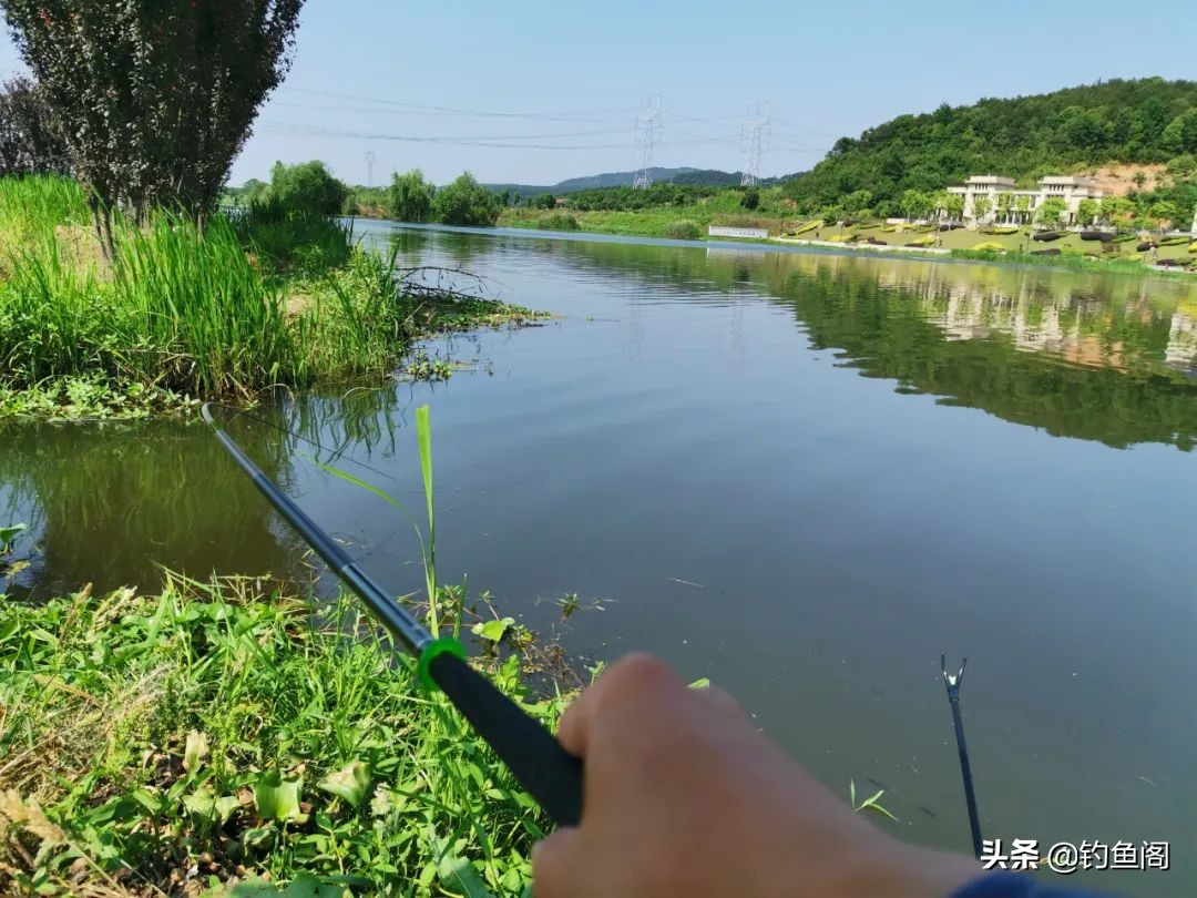 中国鱼竿排名前十的竿测评,不同价位的鱼竿手竿真的差很多吗