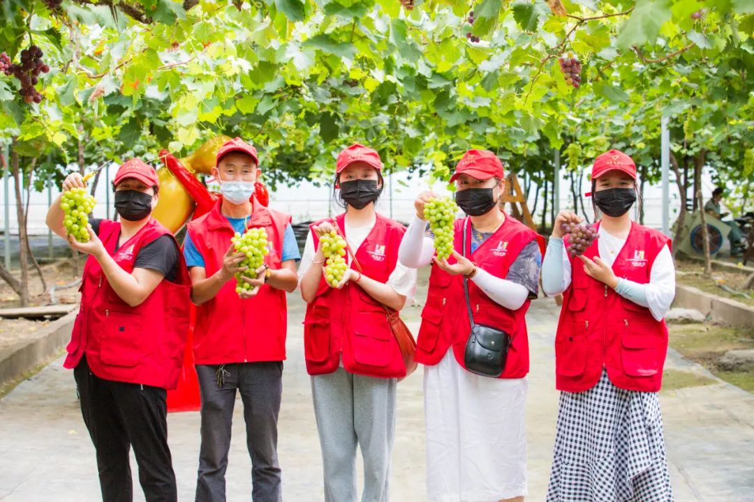 文旅资讯站｜慈溪市第十六届葡萄节暨灾后复产现场会顺利举行