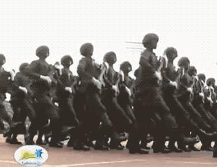 世界上的各种三色旗国家,世界三色旗的国家有哪些如何区别