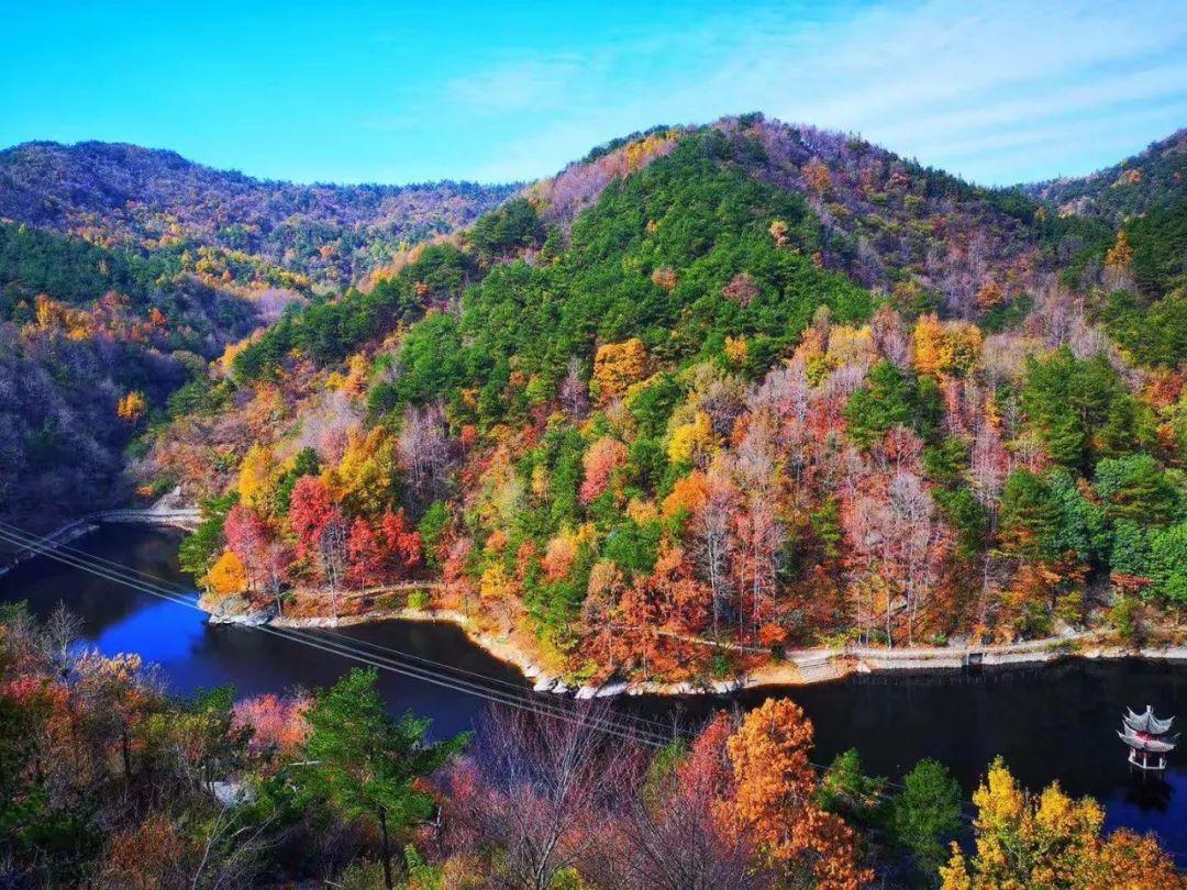 清凉寨丨“枫”景尚好,年会火热预定中!