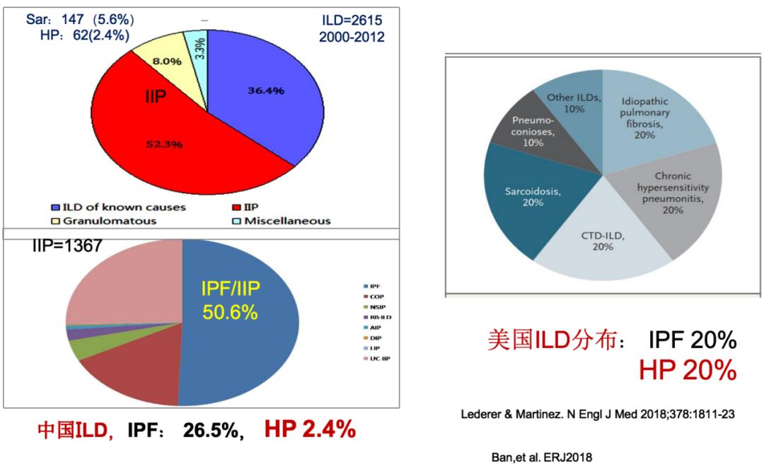 养鸽子造成皮肤真菌感染,养鸽子会得肺炎吗