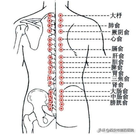拔火罐的知识,拔火罐专业知识