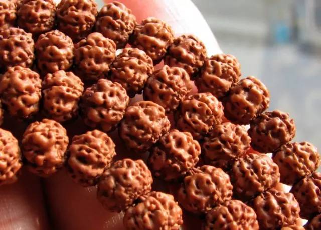 小金刚菩提鉴定视频,小金刚菩提的真假鉴别