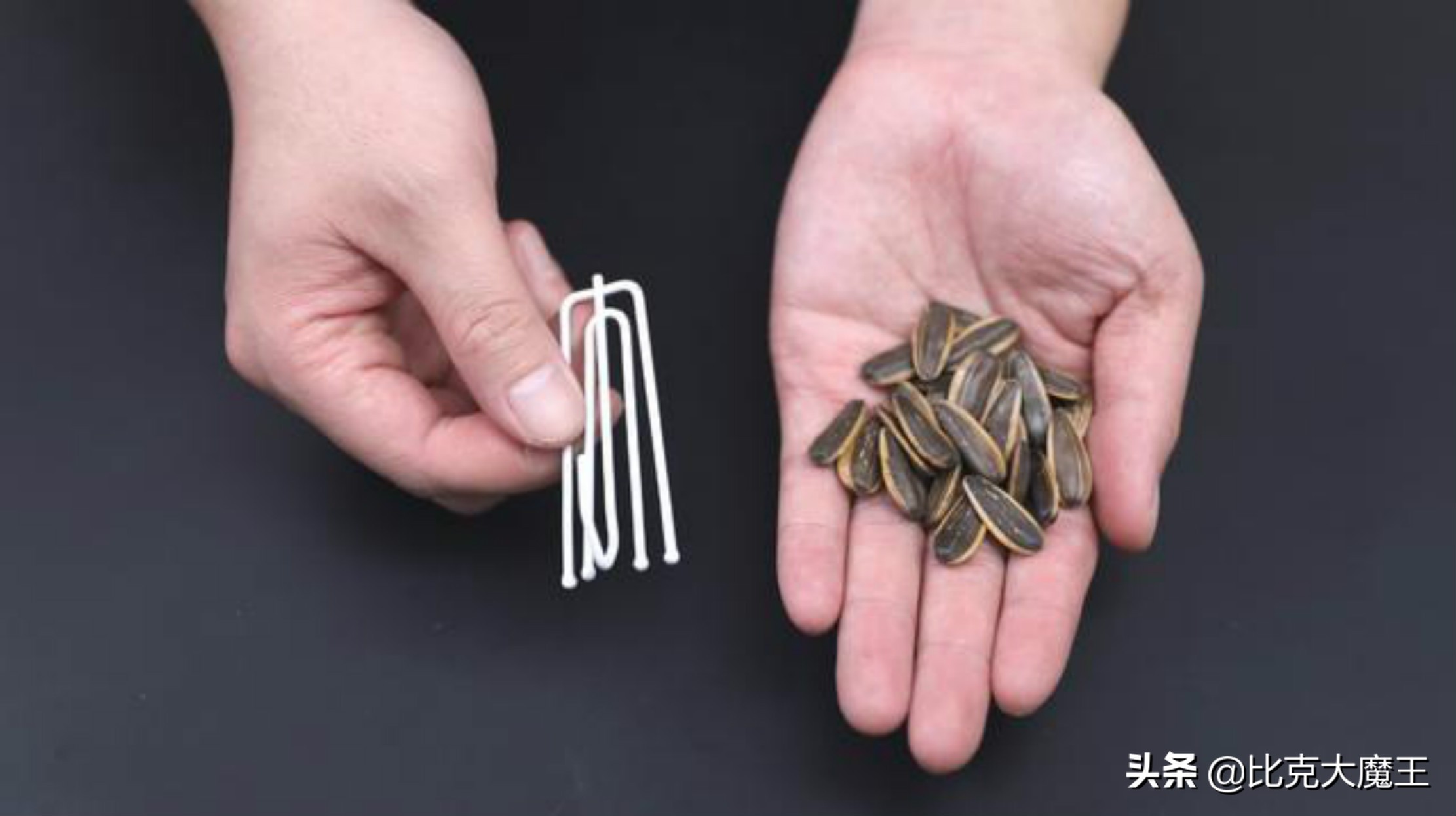 生活小妙招剥瓜子神器,快速剥瓜子皮方便方法