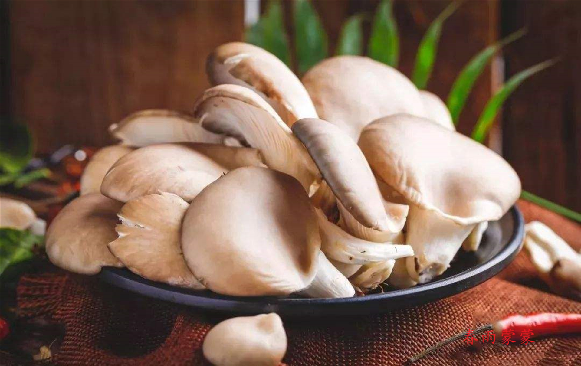 怎么在家用花盆种蘑菇,如何利用家里的一些东西种植蘑菇