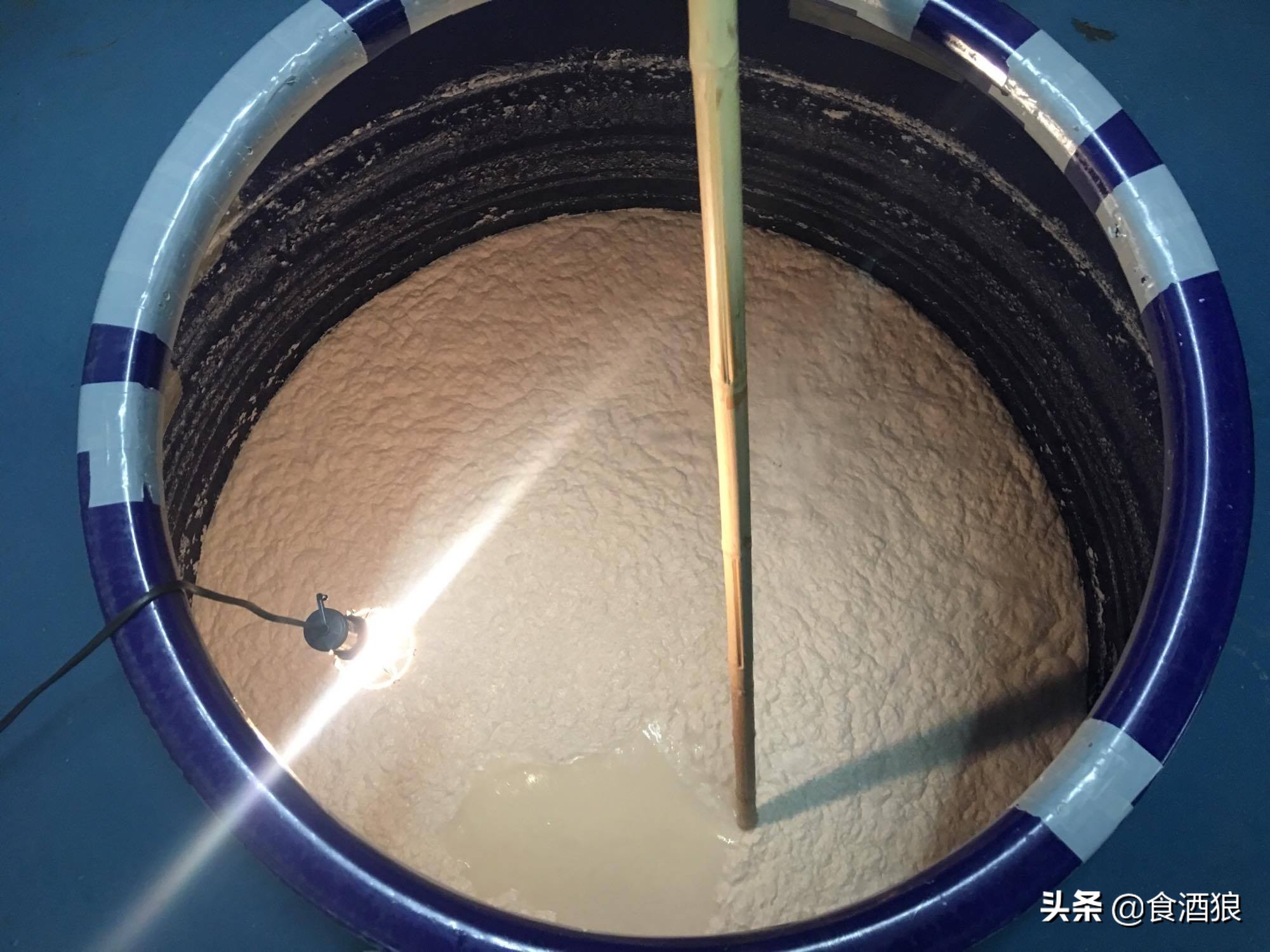 来去酒造喝清酒！玉川酒造见学