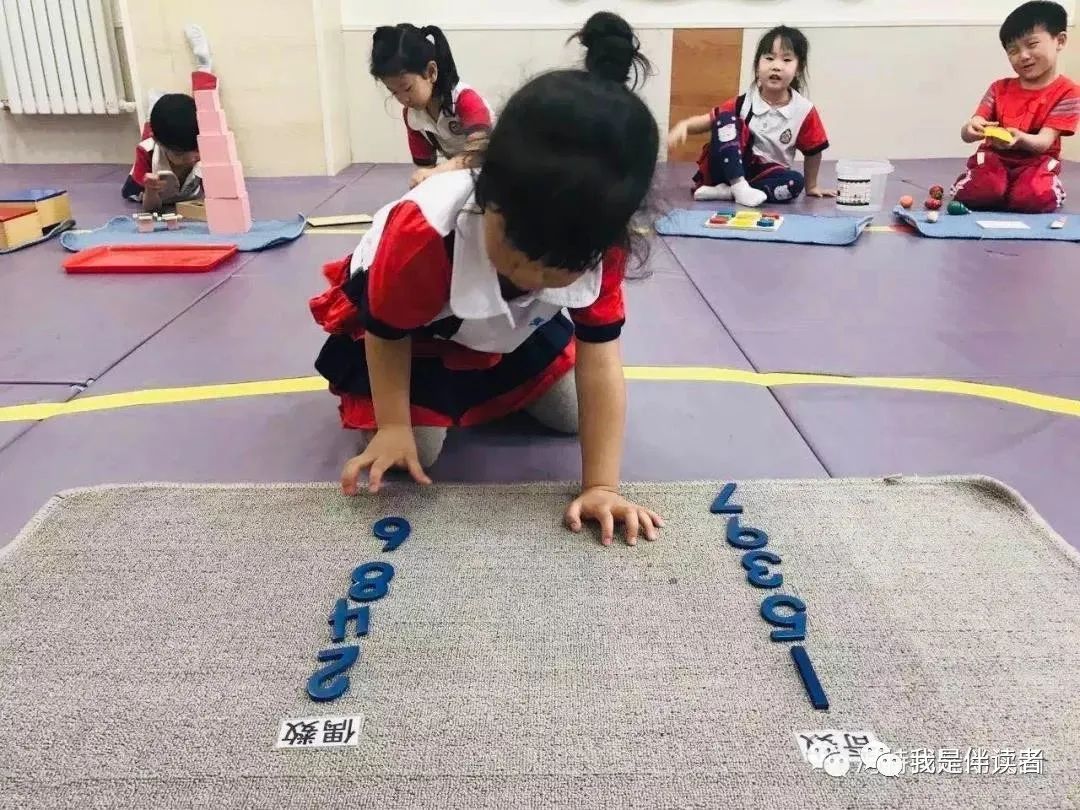 中原区公立幼儿园,郑州市中原区私立幼儿园怎么报名