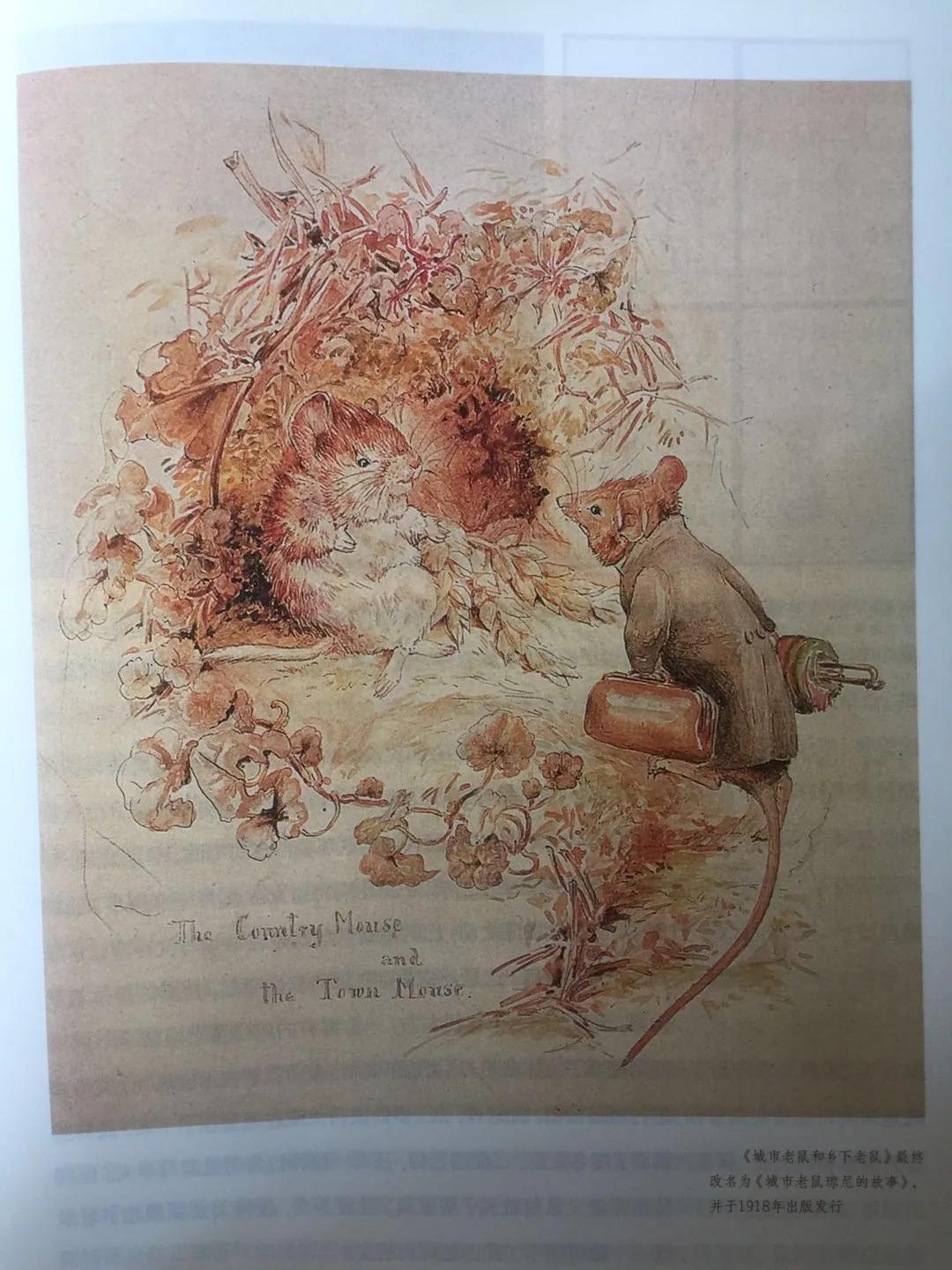 《永远的波特——彼得兔的妈妈》：揭晓彼得兔经久不衰的魅力所在