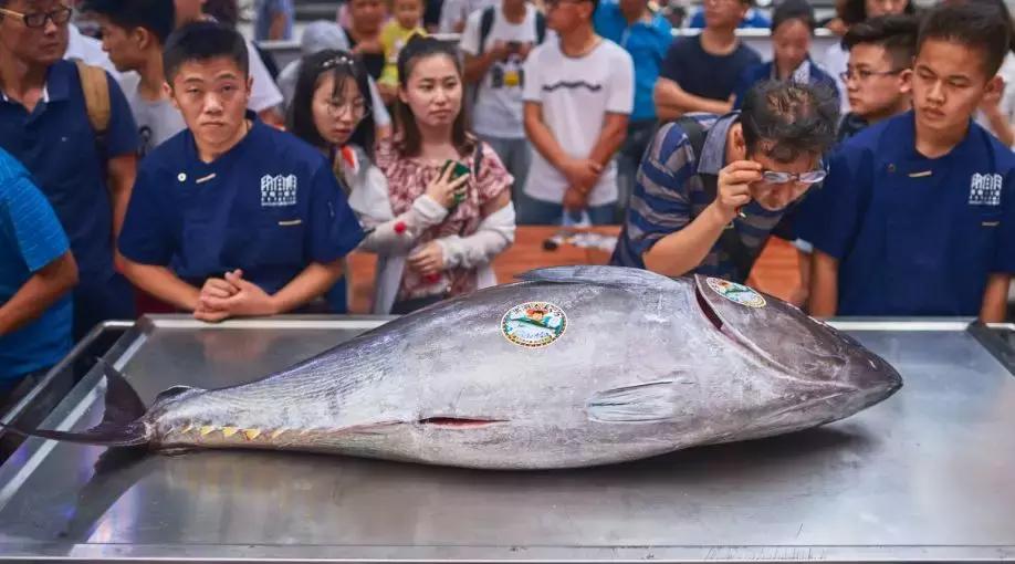 如懿传中白蕊姬的孩子得了什么病,如懿传中白蕊姬为什么被刺死