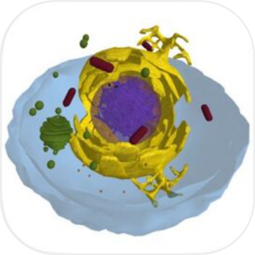 教师必备的10个教课的软件,有什么适合老师用的教学软件