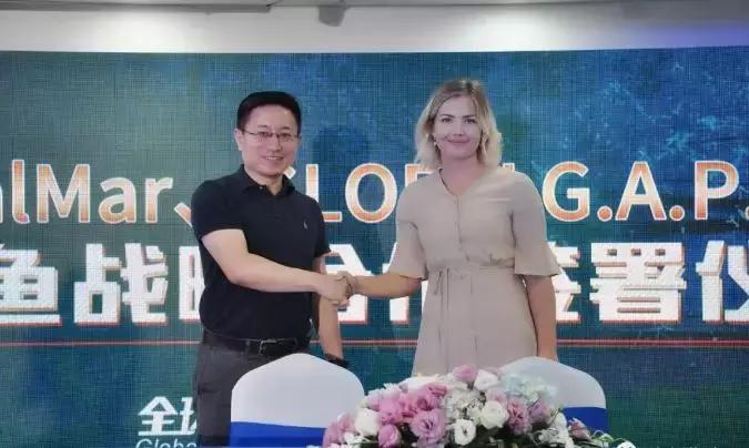 海天下冰鲜三文鱼肉,海天下冰鲜三文鱼