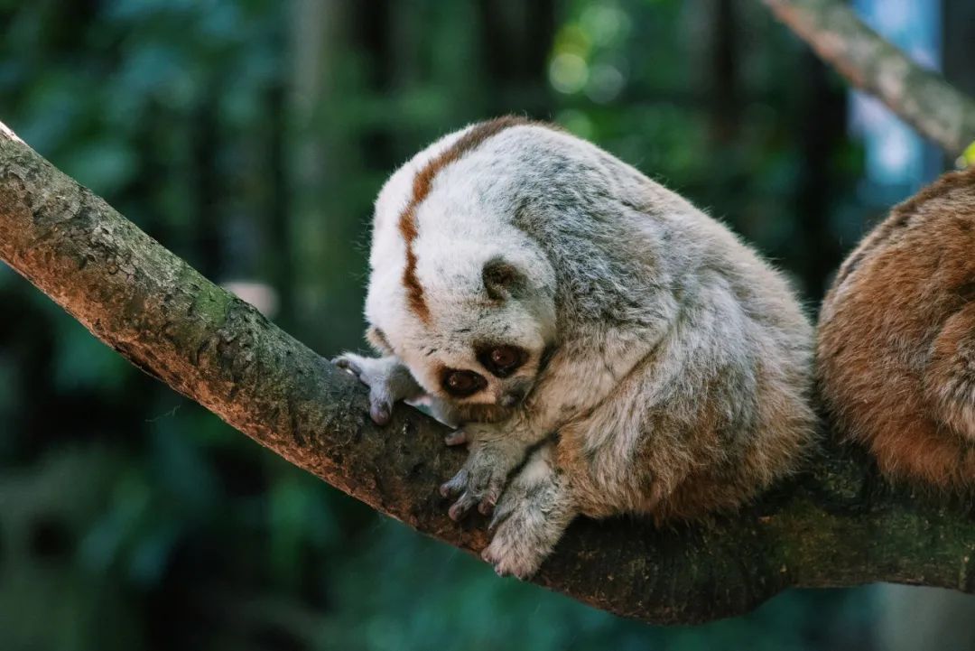 云南抚仙湖绝美风景,云南人少地方美