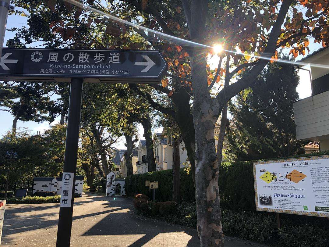 三月春雪如约而至,日本东京的樱花几月份最好看