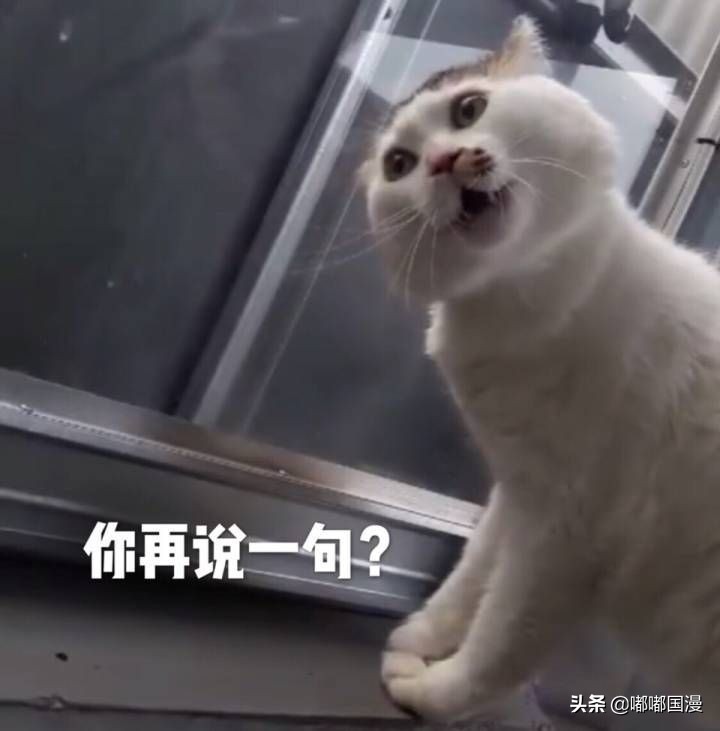 嘟嘟明明在介绍国漫，为什么总有人来评论区说日漫更好？