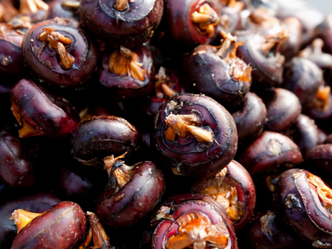 地梨怎么包饺子,怎么调地梨猪肉馅