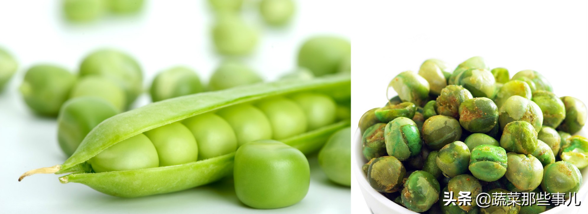 豆角用的是四季豆还是扁豆,豇豆四季豆扁豆区别