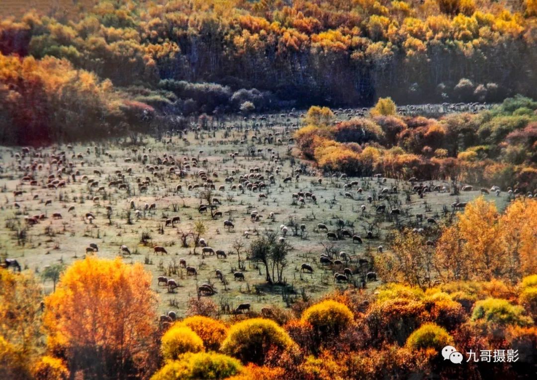 坝上草原天路美景,大美坝上风光系列之一