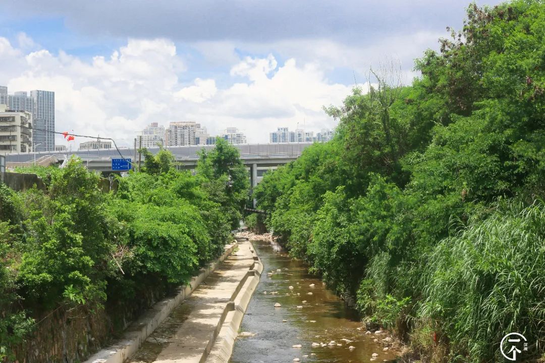 深圳布吉房租走势,布吉租房大概是什么价位