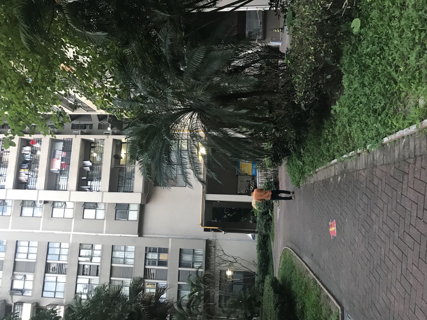 骞垮窞鏃跺皻鏄庤嫅鍊煎緱涔板悧,鏃跺皻鏄庤嫅骞垮窞