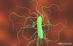 甲硝唑片的说明书用量看不懂,甲硝唑片的适应证有哪些