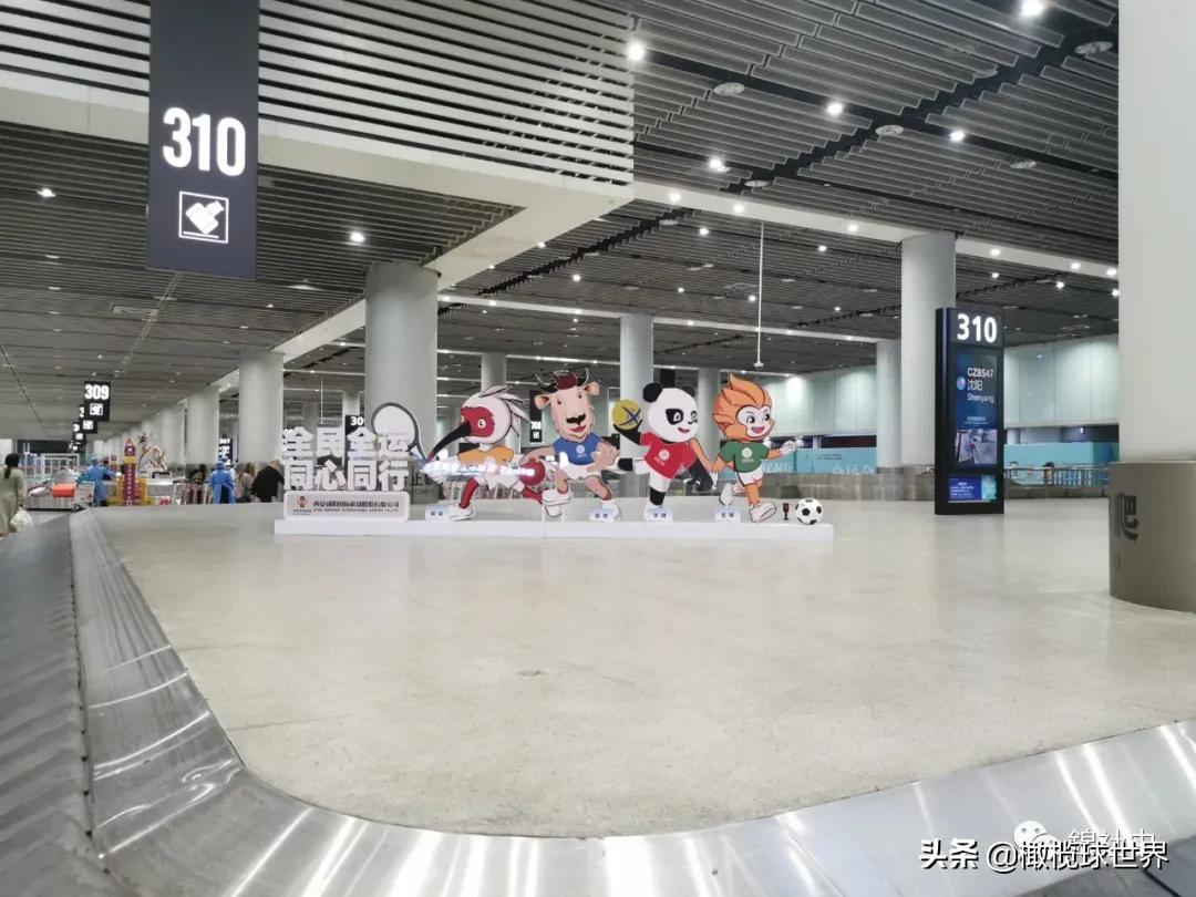 我与全运会的故事,我和校运会的故事作文