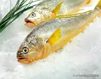 把所有口味都尝了一遍,买回来的鱼泥怎样加工才好吃