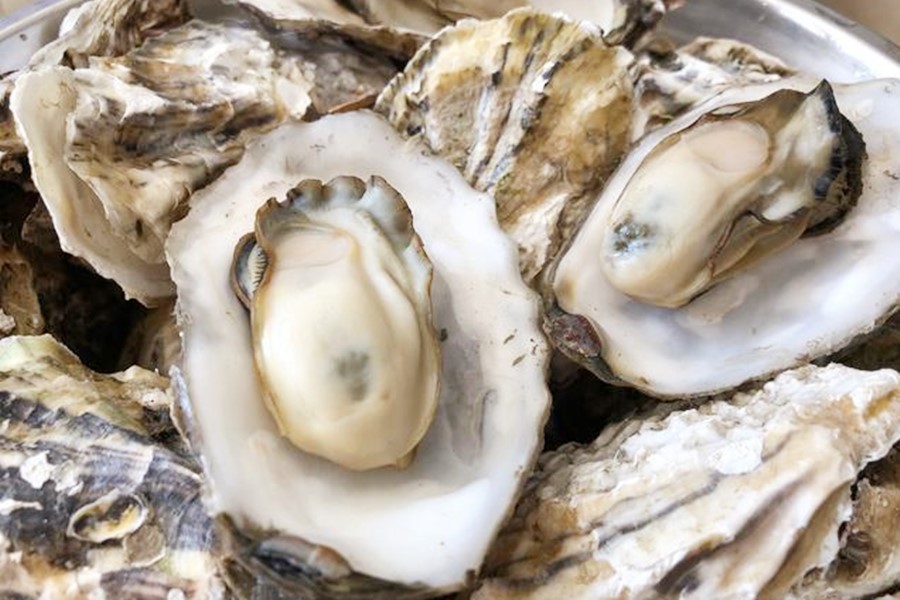 生蚝要这样吃才过瘾原视频,生蚝这样吃真的好吗