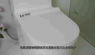洁厕净马桶测评,康丽洁马桶深度测评