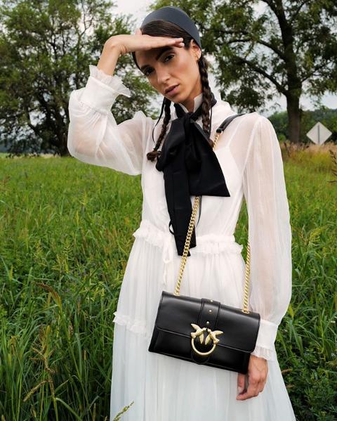 pinko燕子包是小号还是中号好看 (轻奢pinko燕子包)