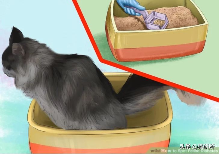 猫咪乱拉如何解决,猫咪乱拉处理方法