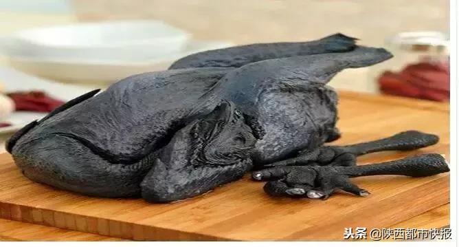 西安哪里买乌鸡比较新鲜,西安哪有卖乌鸡