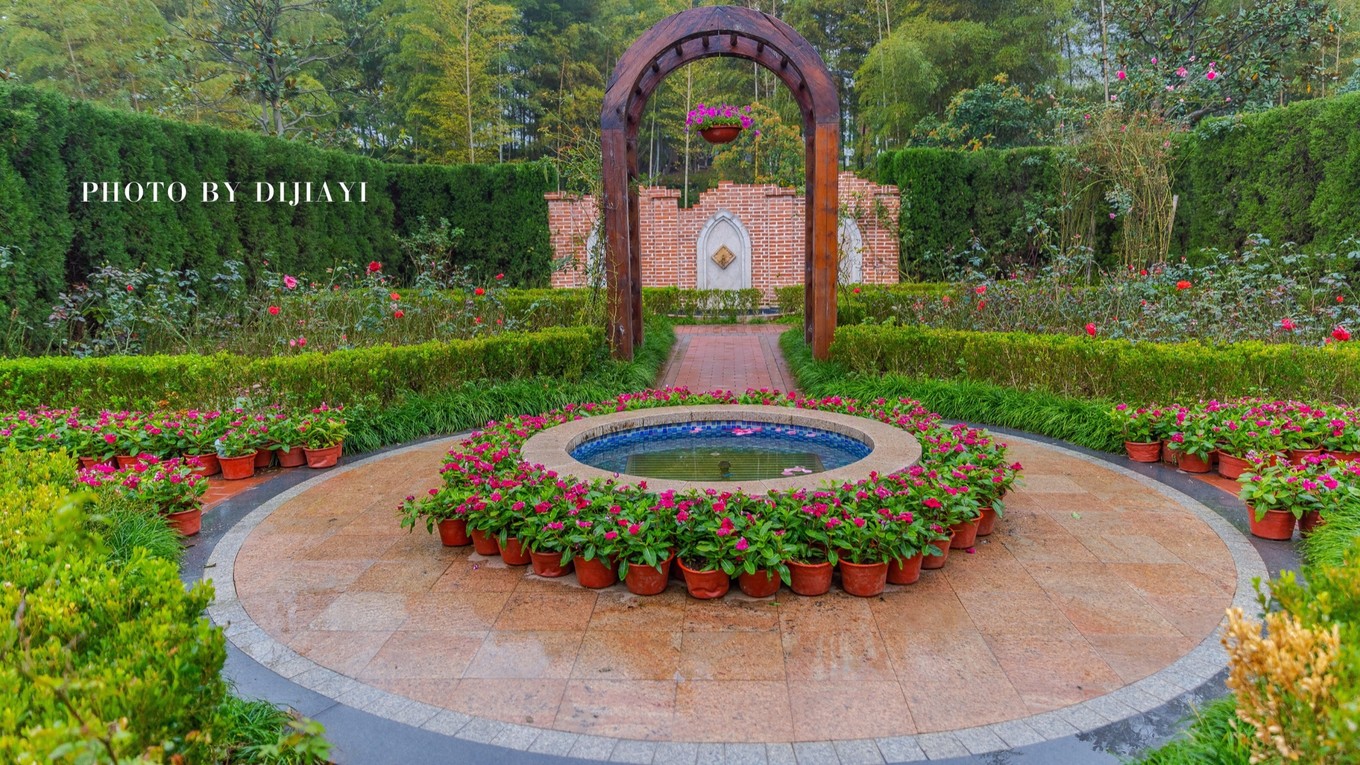 金坛花谷奇缘有什么地方值得打卡,金坛花谷奇缘赏花攻略