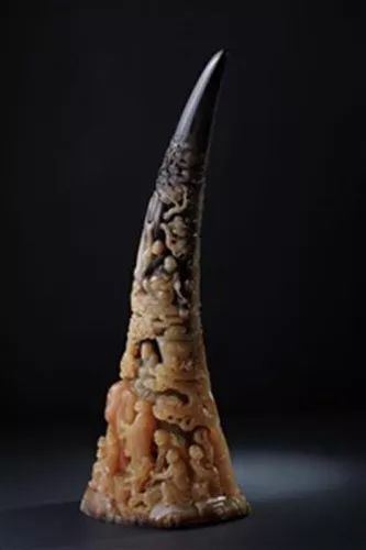 文玩背后的阴暗——鲜血淋漓惨不忍睹！人性居然能恶毒到如此地步