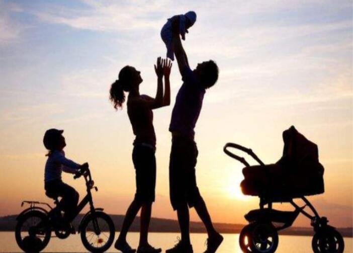 双职工家庭有必要生二胎吗,双职工家庭没人带两孩怎么办