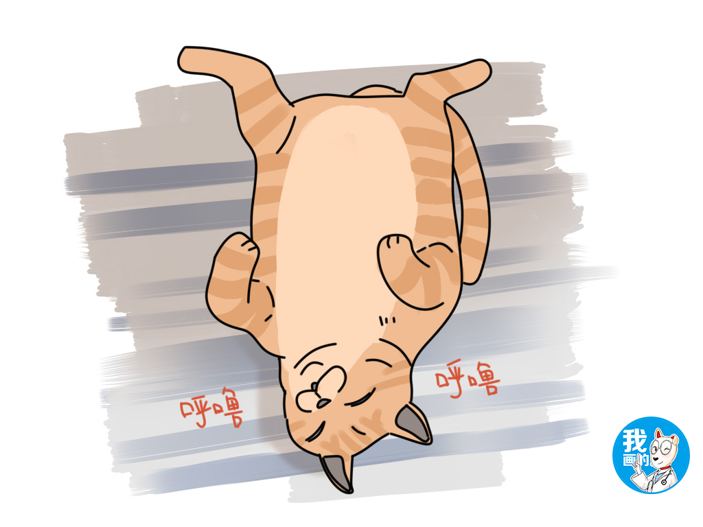 猫咪身上有跳蚤驱虫后要洗澡吗,猫咪身上有跳蚤有什么办法