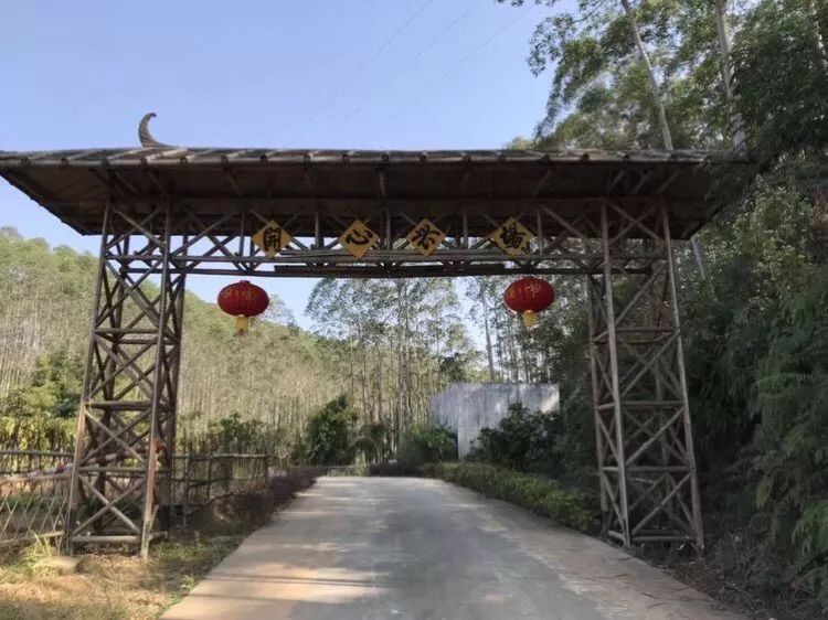 南昆山南国避暑天堂图片,藏在南昆山里的避暑胜地