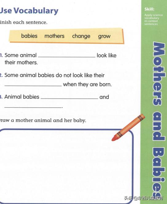 免费美国数学练习册,美国数学练习册免费下载