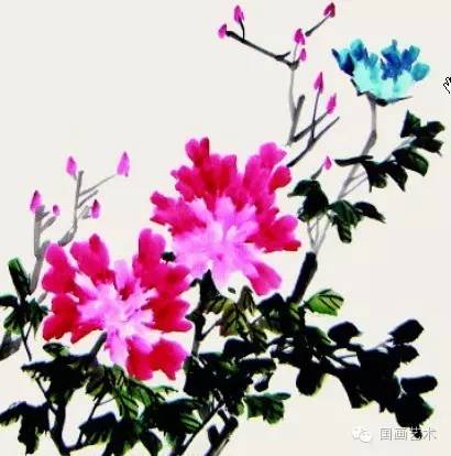 写意牡丹的画法步骤视频教程,王雪涛写意牡丹画法视频大全