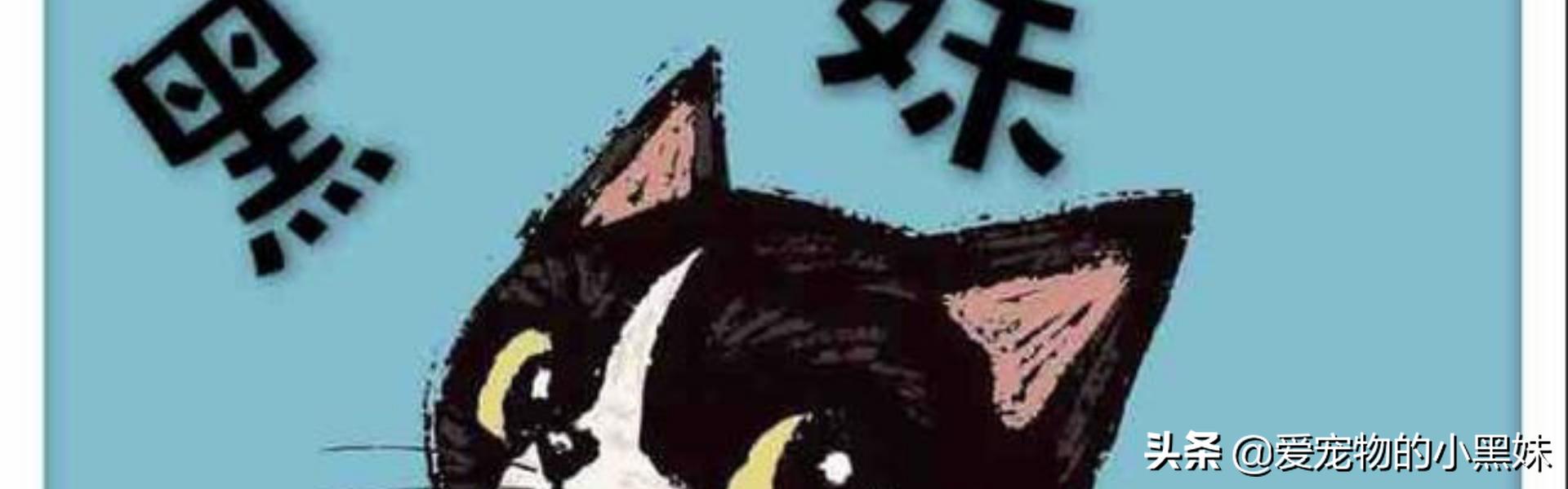 猫咪眼睛的正确打开方式,养护猫咪眼睛常见疾病及护理