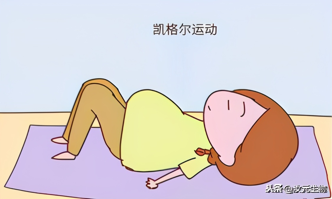 产后恢复漏尿教程,产后漏尿康复操