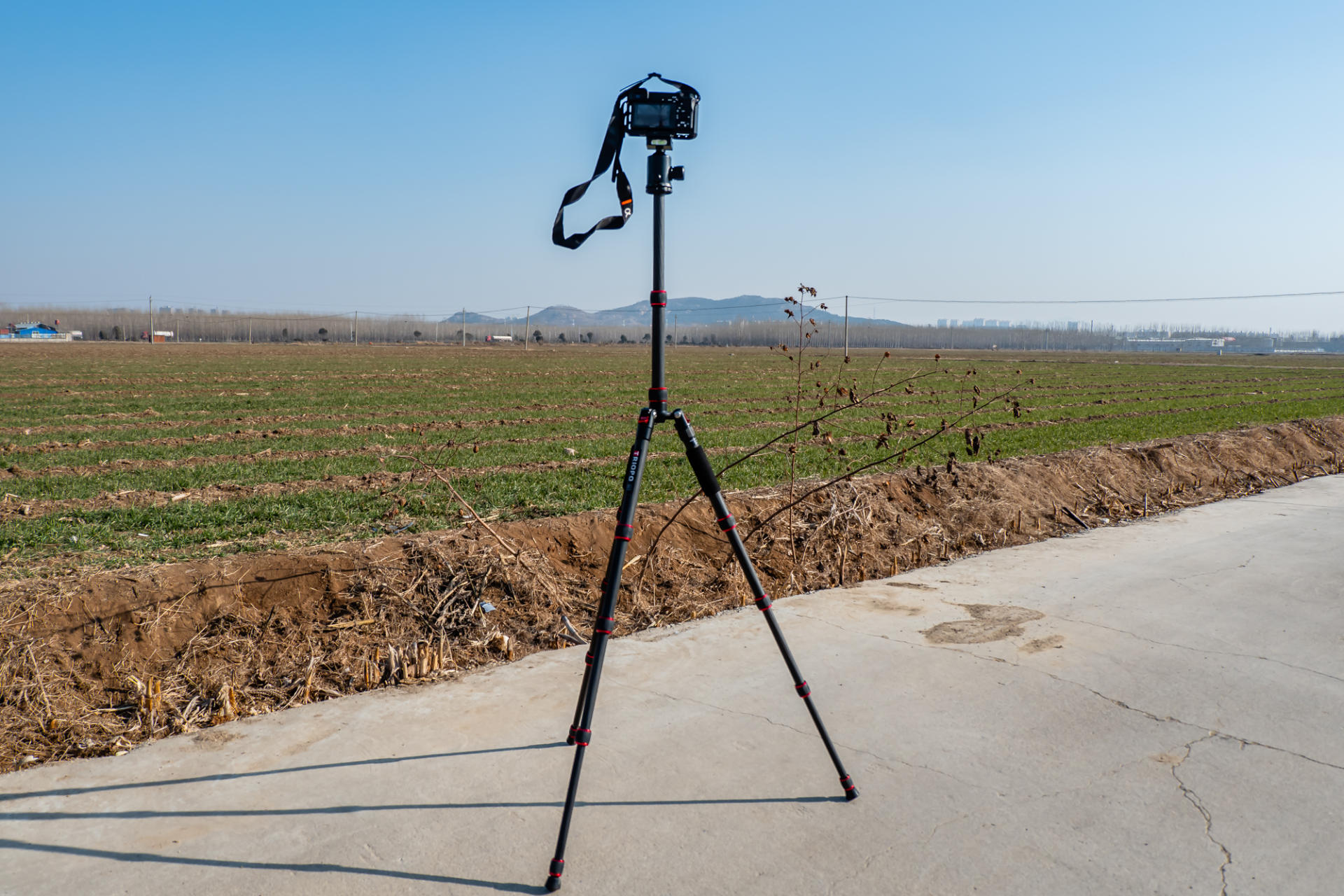 碳纤维三脚架平价推荐,性价比高碳纤维三脚架前十名