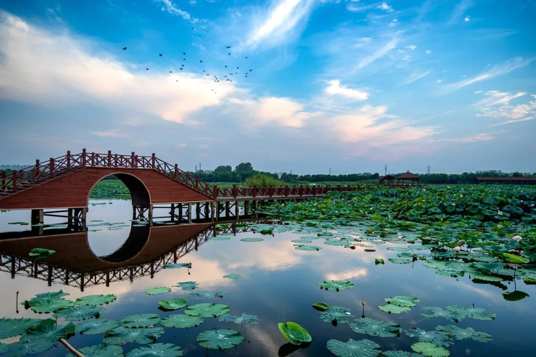 苏州夏季水上乐园最佳地点,夏季苏州