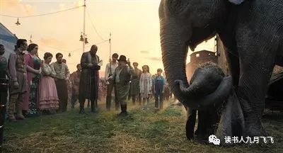 小飞象和猫头鹰影评,电影小飞象观后感影评