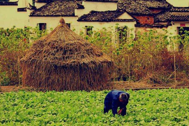 五一节劳动诗,与五一劳动节有关的诗歌精选